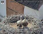 Capi_Dubne_20260630_173004.jpg