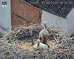 Capi_Dubne_20260630_182004.jpg