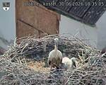 Capi_Dubne_20260630_183505.jpg