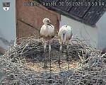 Capi_Dubne_20260630_185004.jpg