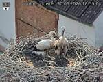 Capi_Dubne_20260630_185504.jpg