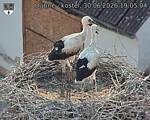 Capi_Dubne_20260630_190504.jpg