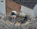 Capi_Dubne_20260630_191004.jpg