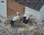 Capi_Dubne_20260630_191504.jpg