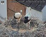 Capi_Dubne_20260630_192004.jpg