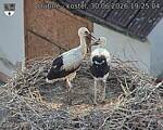 Capi_Dubne_20260630_192504.jpg
