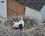 Capi_Dubne_20260630_194004.jpg