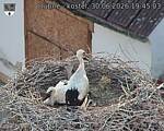 Capi_Dubne_20260630_194503.jpg