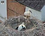 Capi_Dubne_20260630_195503.jpg