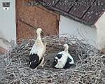 Capi_Dubne_20260630_210004.jpg
