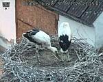 Capi_Dubne_20260630_212502.jpg