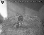 Capi_Dubne_20260701_013002.jpg