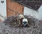 Capi_Dubne_20260701_053003.jpg