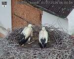 Capi_Dubne_20260701_060005.jpg