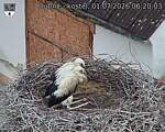 Capi_Dubne_20260701_062003.jpg