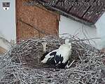 Capi_Dubne_20260701_090003.jpg