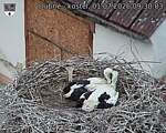Capi_Dubne_20260701_093003.jpg