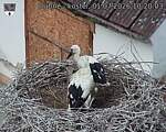 Capi_Dubne_20260701_102003.jpg