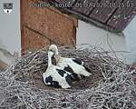 Capi_Dubne_20260701_102503.jpg