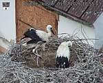 Capi_Dubne_20260701_105503.jpg