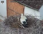 Capi_Dubne_20260701_110503.jpg