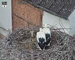 Capi_Dubne_20260701_111003.jpg