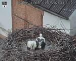 Capi_Dubne_20260701_114003.jpg
