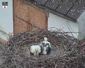 preload