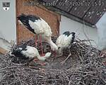 Capi_Dubne_20260701_121503.jpg
