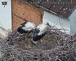 Capi_Dubne_20260701_122503.jpg