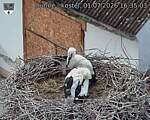Následující