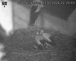 Capi_Dubne_20260701_222003.jpg