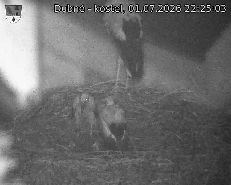 preload