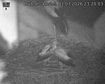 Capi_Dubne_20260701_232003.jpg
