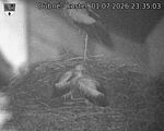 Capi_Dubne_20260701_233503.jpg