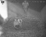 Capi_Dubne_20260702_020003.jpg