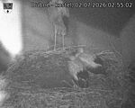Capi_Dubne_20260702_025502.jpg