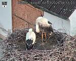 Capi_Dubne_20260702_045503.jpg