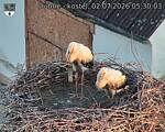 Capi_Dubne_20260702_053003.jpg