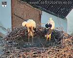 Capi_Dubne_20260702_054003.jpg