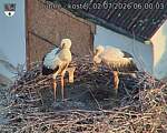 Capi_Dubne_20260702_060003.jpg