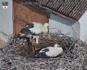 preload