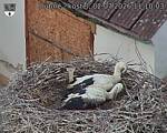 Capi_Dubne_20260702_111003.jpg