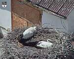 Capi_Dubne_20260702_144003.jpg