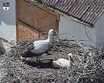 Capi_Dubne_20260702_150004.jpg