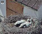 Capi_Dubne_20260702_153003.jpg