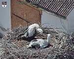 Capi_Dubne_20260702_155503.jpg
