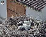 Capi_Dubne_20260702_160503.jpg