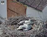 Capi_Dubne_20260702_161003.jpg