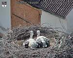 Capi_Dubne_20260702_170003.jpg
